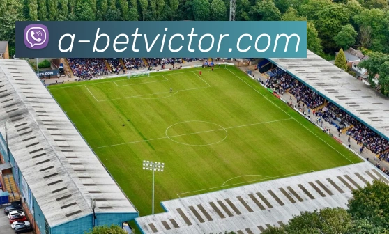 伟德官网平台生态图